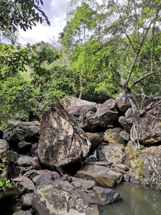 Yanoda Rainforest Cultural Tourism Zone