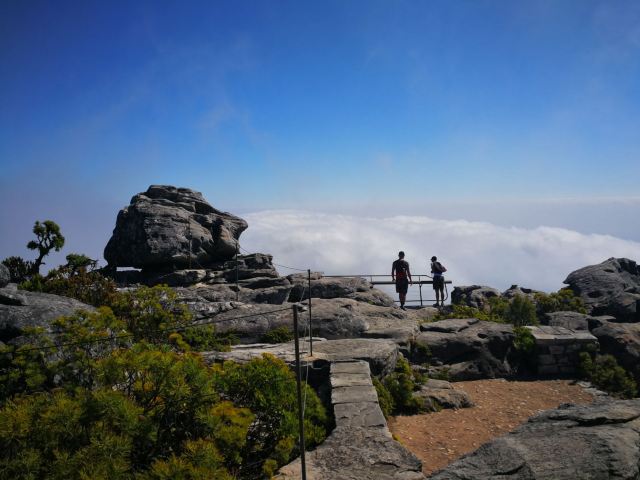 Table Mountain