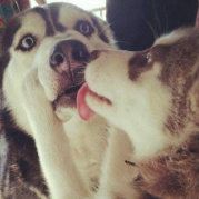 一个烟熏火燎的人