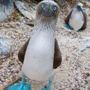 晴天阴天我都撑伞