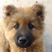 绕着飞机转圈圈