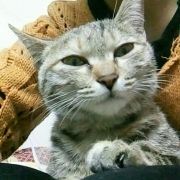 爱无止境很快乐