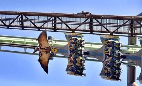 Universal Studios Japan