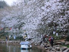湖南省植物园-长沙-1