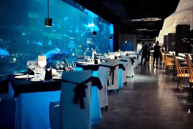 鲨鱼餐厅.海景川粤餐厅(重庆天地店)餐厅图片