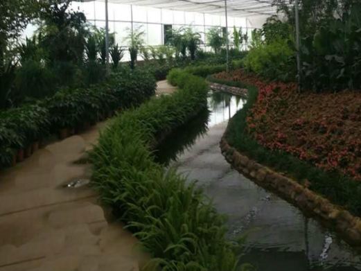 热带植物动物园