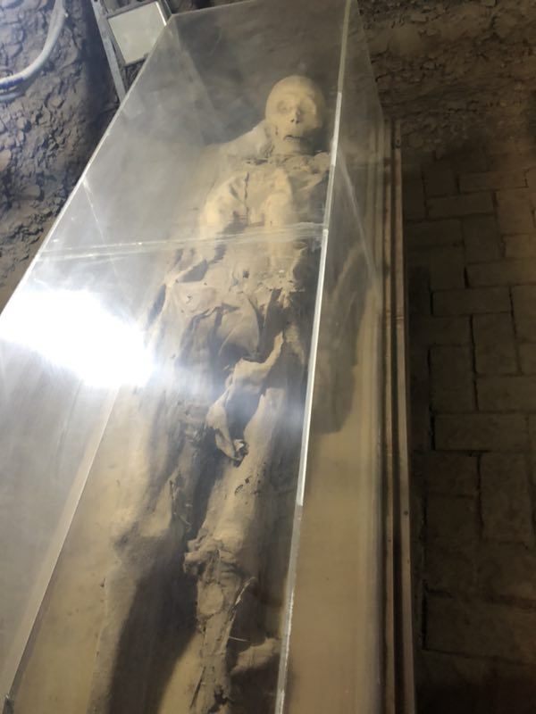 阿斯塔那古墓群(暂停开放)旅行图片 6