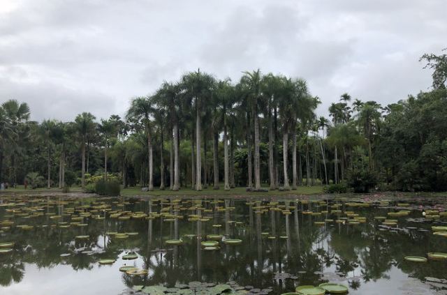 绿石林森林公园旅行图片 2