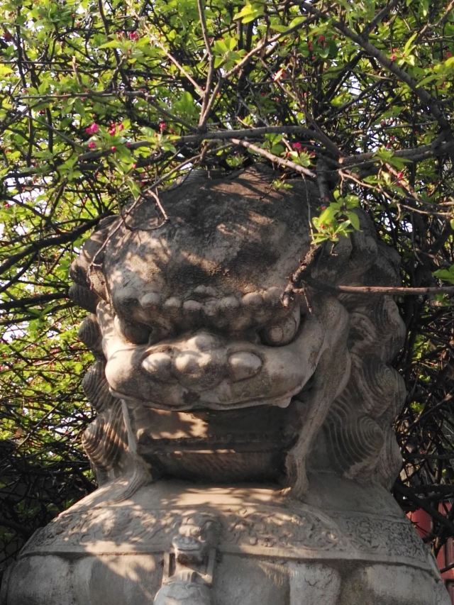 孚王府(不对外开放)旅行图片 13