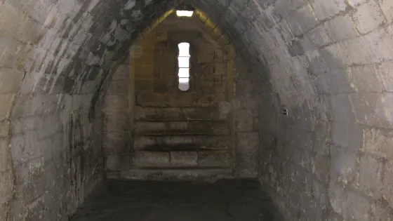 Cave Store