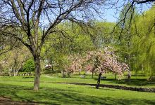 Smith Field Park景点图片