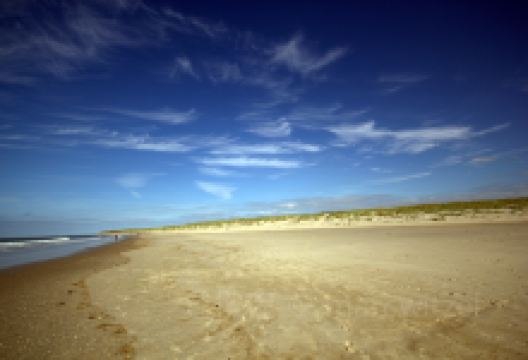 Dana Strands Beach景点图片