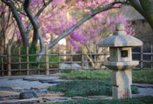Birmingham Botanical Gardens景点图片
