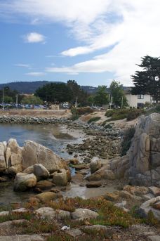 老渔人码头-蒙特雷