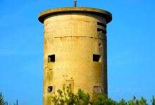 Cape Henlopen State Park景点图片