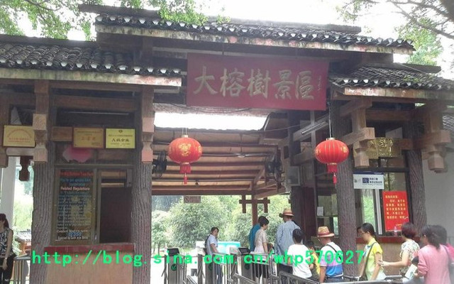 2007广西旅游（游记，七）大榕树景区