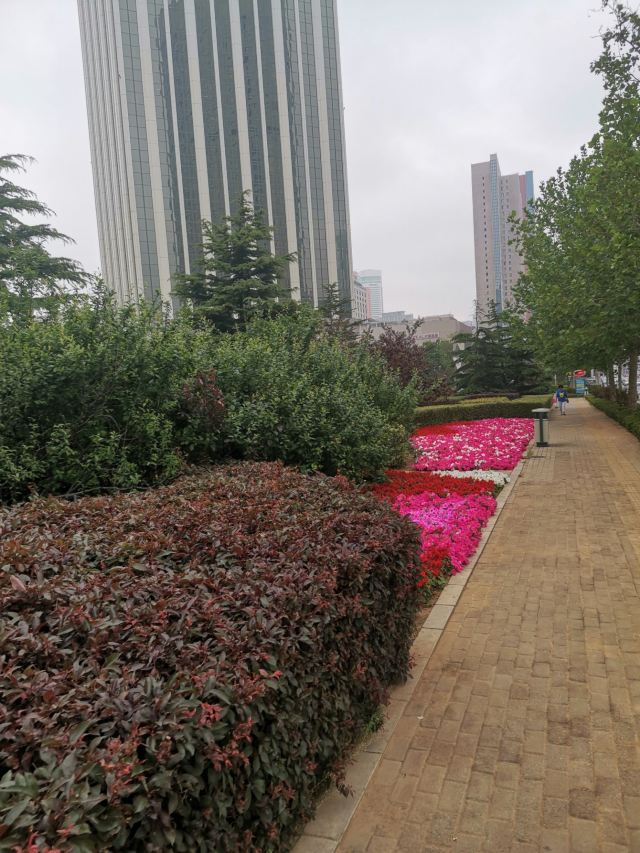 希望广场旅行图片 2