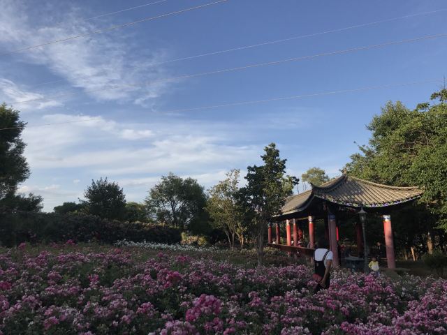 黄龙潭公园旅行图片 4