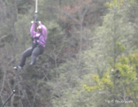 Climb Works Smoky Mountains Tickets Deals Reviews Family