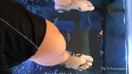 Fish Spa Iceland