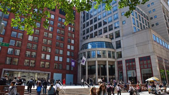 NYU Stern Executive MBA program