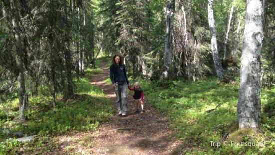 Sushi Exchange Reviews Food Drinks In Alaska Soldotna Trip Com