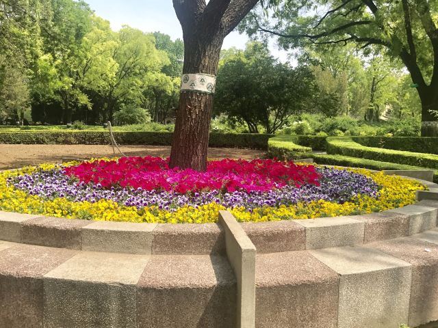 昌平公园旅行图片 6