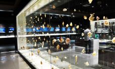 贝壳王国-秦皇岛-YoYo_4S8V1Y5E