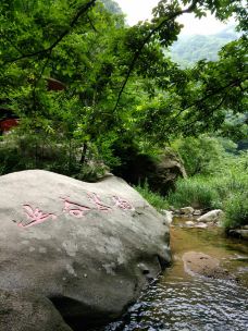 养子沟-栾川-YoYo_7M8H2B5W