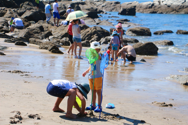 放暑假了，带上孩子，来到大连哈仙岛，让哈仙岛给孩子一个不一样的夏天