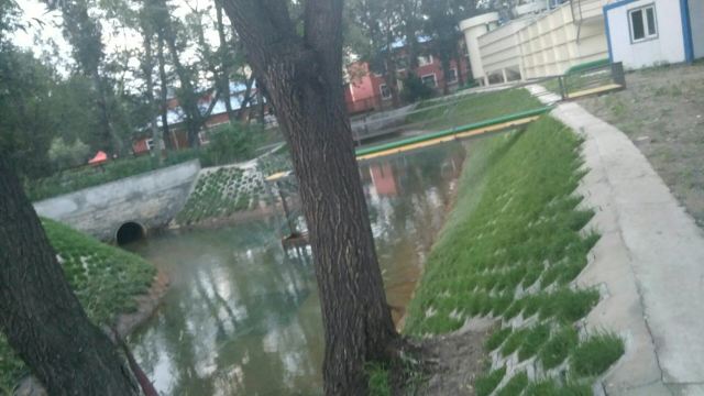 东湖公园旅行图片 1