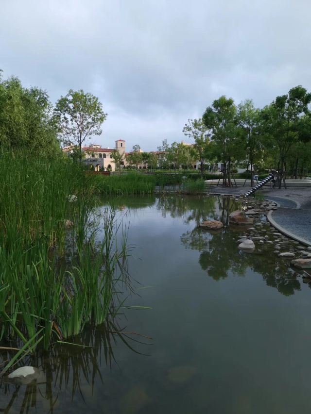 乌君洲公园旅行图片 1