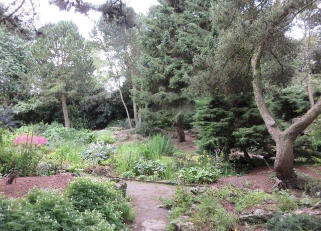 茵薇花園