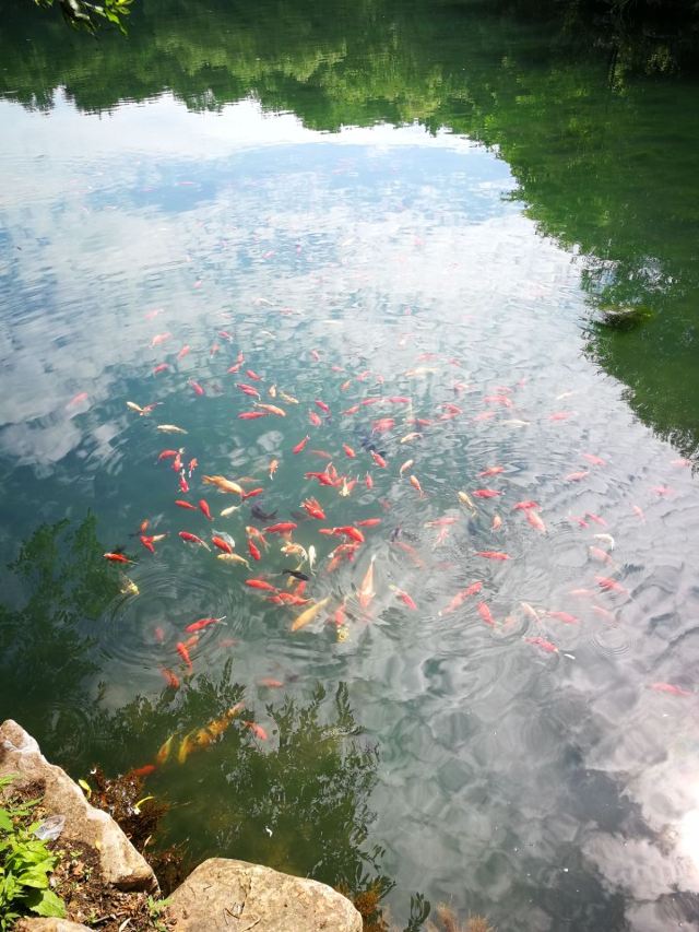 本溪水洞