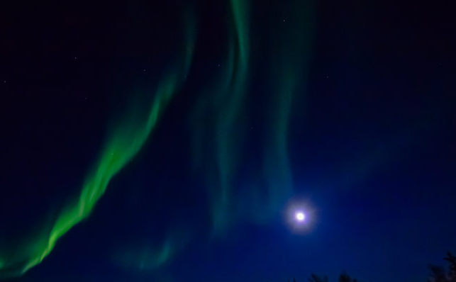 100p170000011cpxo5403_R_800_10000_Q90.png?proc=autoorient