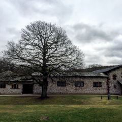 Saalburg Roman Castle And Archeology Park Travel Guidebook Must