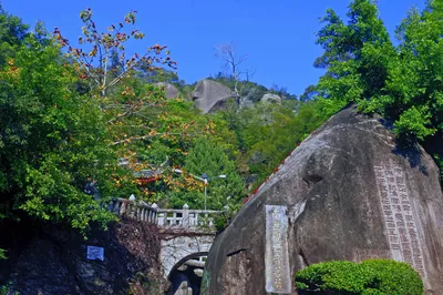 厦门园林植物园-五老峰
