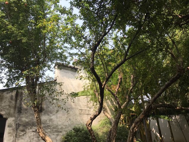 青藤书屋旅行图片 4