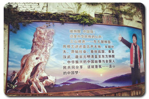 庆元游记图文-以根为媒！打造休闲养生福地的一张金名片——三山根邑·东方醒狮园