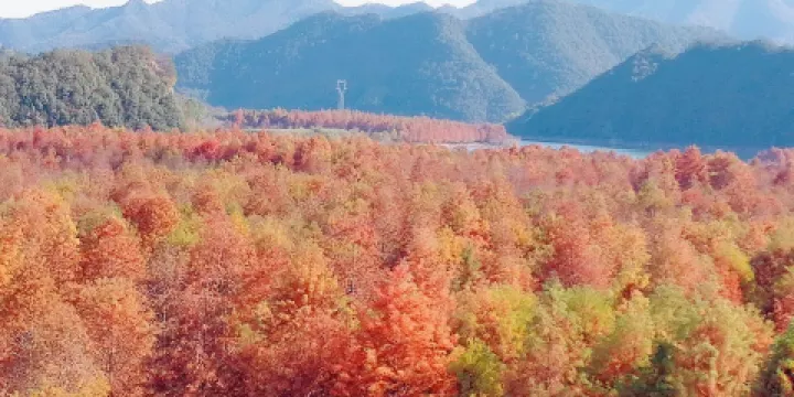 宣城寧國板橋自然保護區