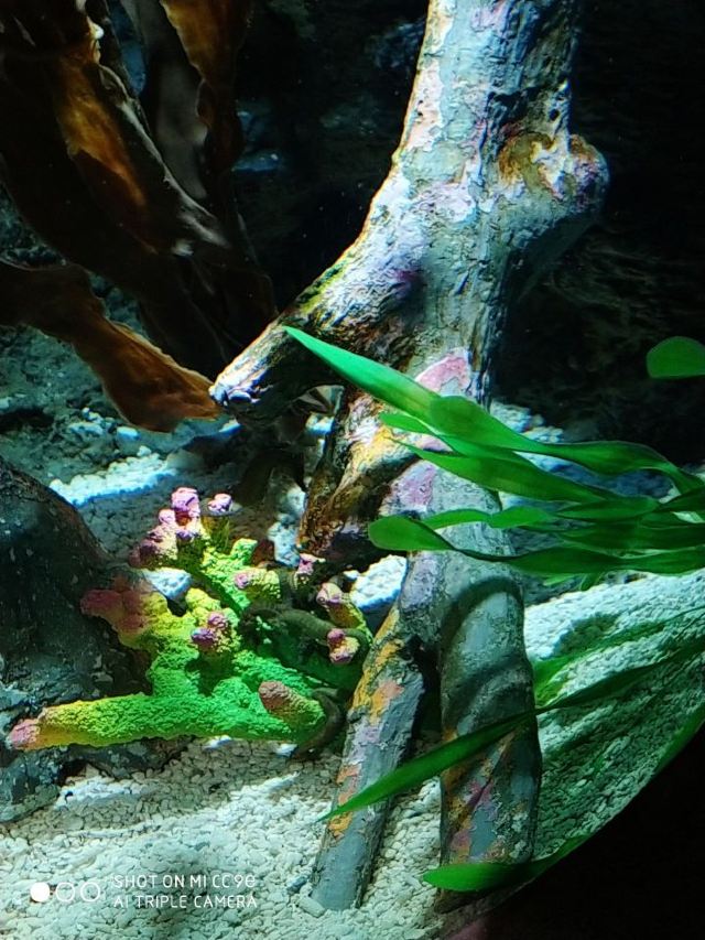 Changfeng Ocean World