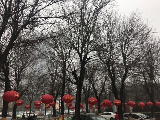 中五台道观旅行图片 3