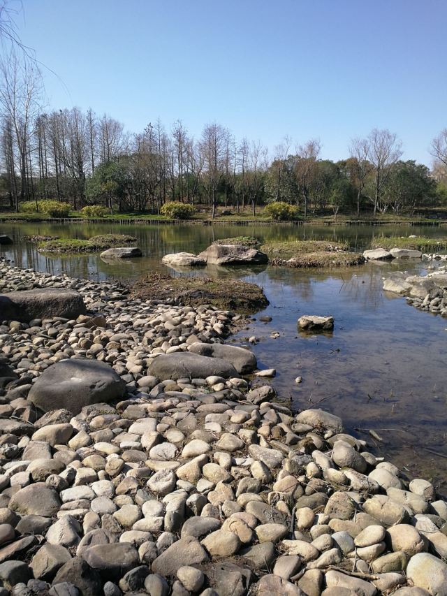 新江湾湿地生态观鸟拍鸟基地旅行图片 15
