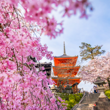 日本大阪+京都+伊势市+鸟羽市+伏见稻荷大社+京都大学+岚山嵯峨野观光小火车+伊势神宫+夫妇岩+鸟羽水族馆7日6晚拼小团