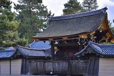 京都御所-京都-翱翔的大鲨鱼