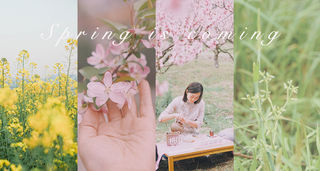 春日物语|细品草长莺飞、落英缤纷,莫干山轻松漫步二日