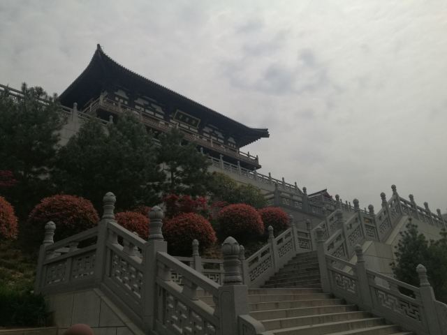 清凉山森林公园旅行图片 7
