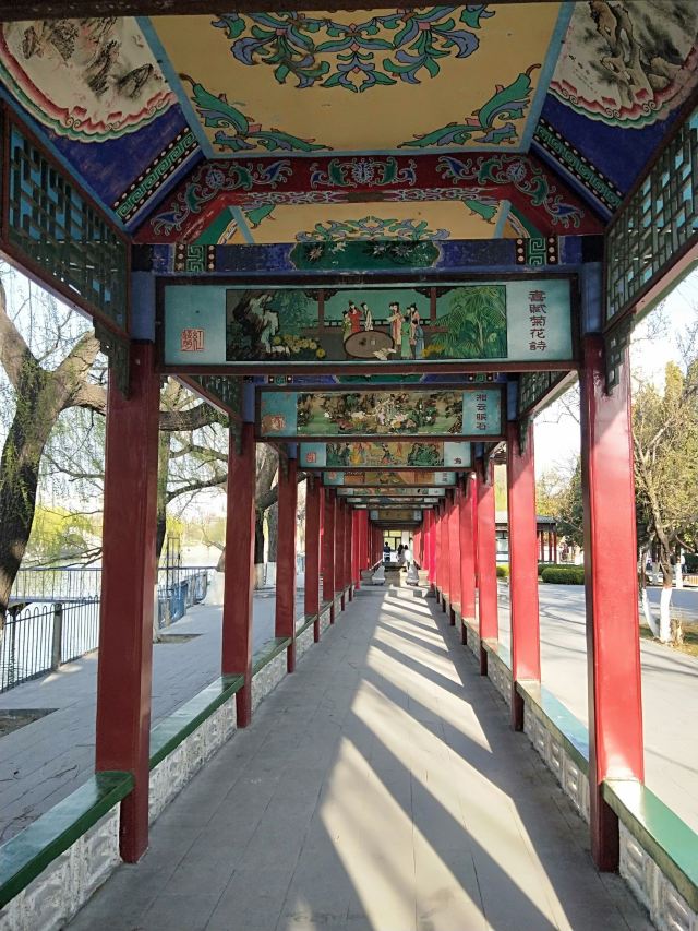 宣化人民公园旅行图片 1