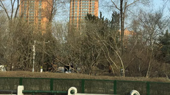 清濱公園