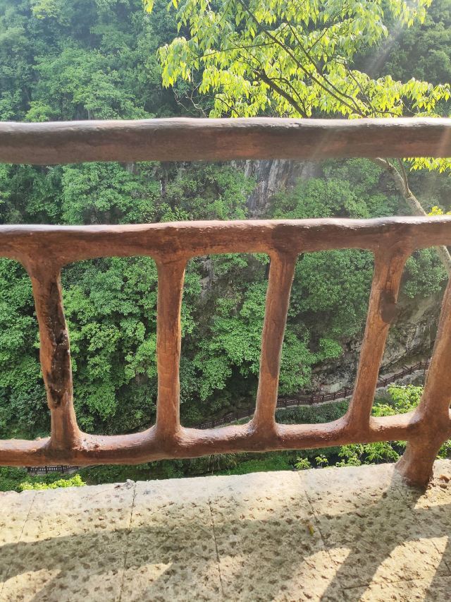 洒金公园旅行图片 1